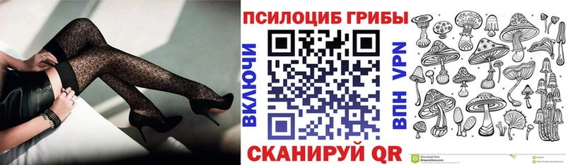 Купить  Тулун  Псилоцибиновые грибы Psilocybe 